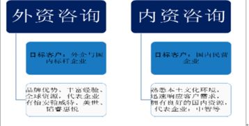 人力資源咨詢市場分析報告 2018 2024年中國人力資源咨詢市場研究與市場運營趨勢報告 中國產業研究報告網