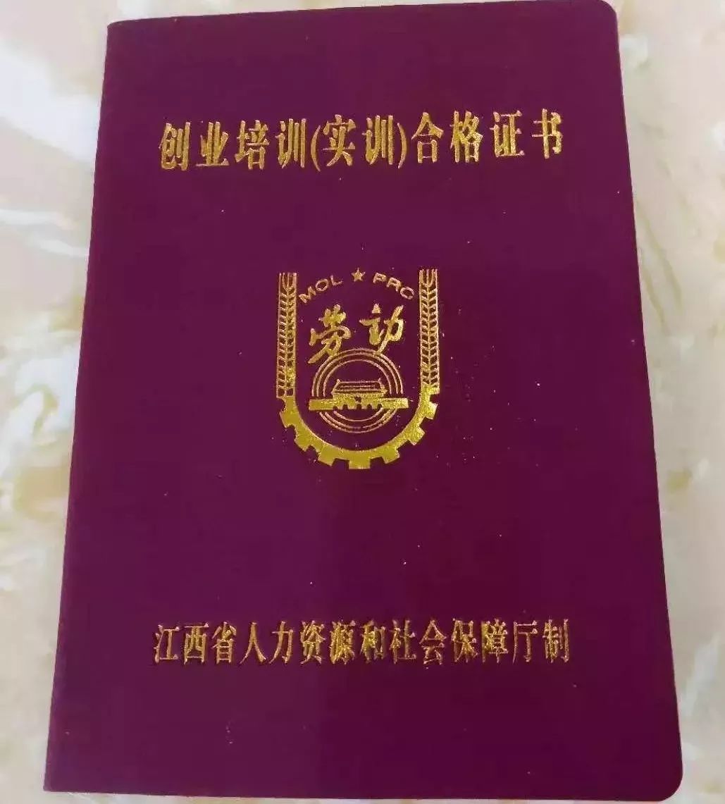 你培訓(xùn),我買單!電商免費(fèi)培訓(xùn)火熱報名中!_創(chuàng)業(yè)
